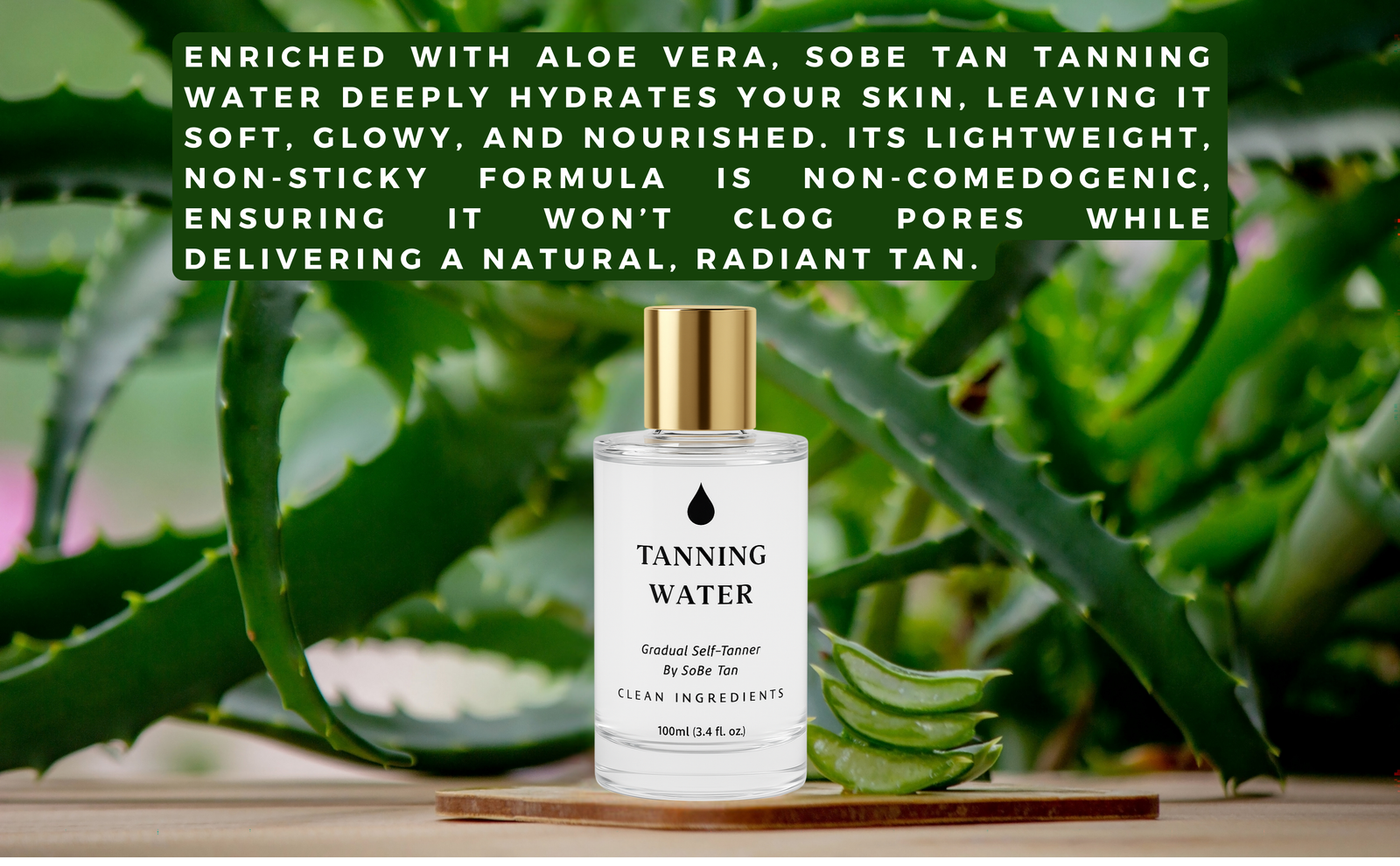 The Water (Tanning Water)